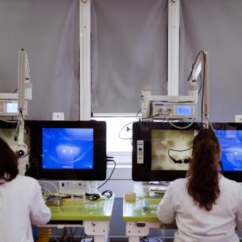 Investigadores treballant al laboratori.