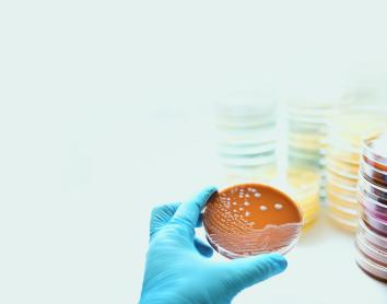 Superbacterias: ¿Cómo podemos hacer frente a una de las mayores amenazas para la salud global?