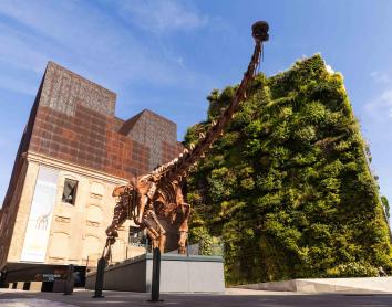 CaixaForum Madrid viaja a la Patagonia de la era mesozoica en su nueva muestra sobre dinosaurios
