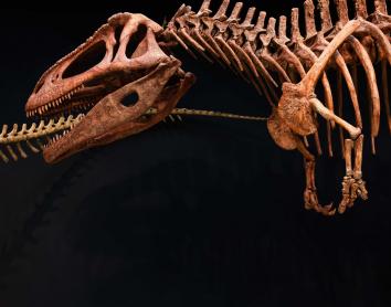 Ñaco Fabré y los dinosaurios de la Patagonia, estrellas de los últimos meses del año en CaixaForum Palma
