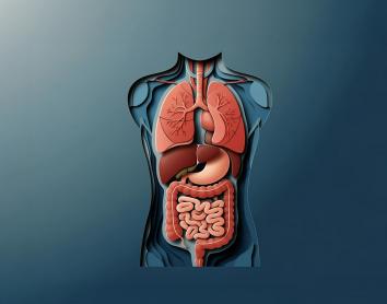 Debate CaixaResearch sobre retos y avances en el trasplante de órganos