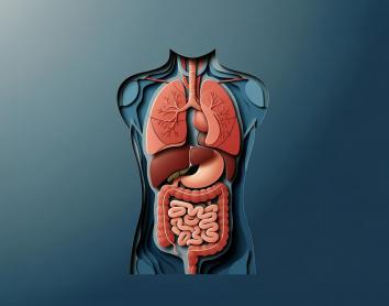 Debat CaixaResearch sobre reptes i avenços en el trasplantament d’òrgans