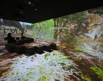 La recuperación del lince ibérico tiene un papel destacado en el ámbito 3 de Somos Naturaleza.