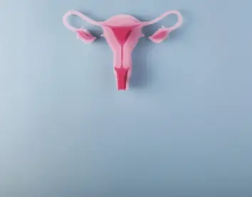 Debat CaixaResearch sobre l'endometriosi, la malaltia silenciosa que afecta les dones