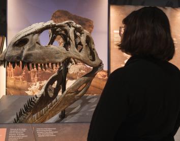 CaixaForum Sevilla viaja a la Patagonia del Mesozoico en una muestra sobre dinosaurios