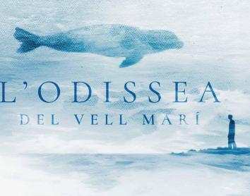 CaixaForum Palma acoge el estreno del documental La odisea de la foca monje