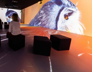 Tres perspectivas poderosas sobre la biodiversidad