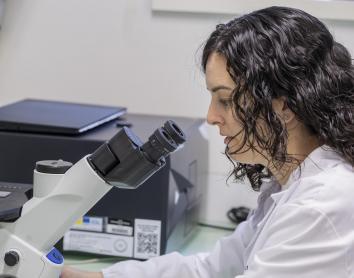 The ”la Caixa” Foundation allocates 32.4 million euros to 80 biomedical research and innovation projects in 2026
