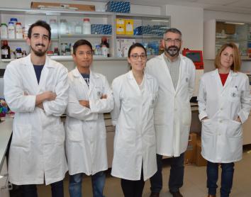 La Fundació ”la Caixa” destina 1,8 milions d’euros a sis projectes de recerca i innovació clau per fer front al coronavirus