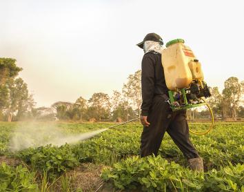 L’exposició prenatal a pesticides augmenta el risc d’obesitat a l’adolescència