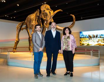 CaixaForum Madrid se adentra en la vida de los mamuts