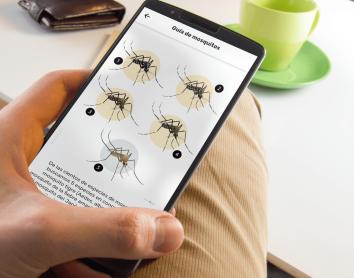 El nuevo mapa interactivo de Mosquito Alert democratiza el acceso a los datos sobre la actividad de los mosquitos en España