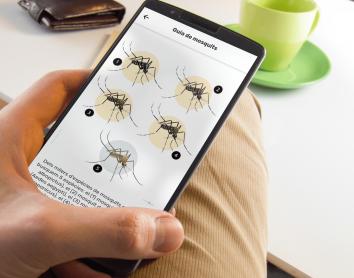El nou mapa interactiu de Mosquito Alert democratitza l’accés a les dades sobre l’activitat dels mosquits a Espanya