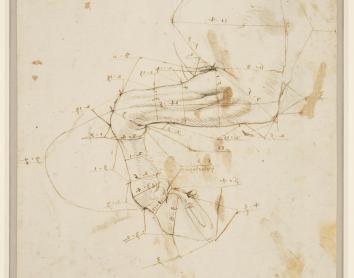 Roda de premsa: Vinaròs acull l’exposició Leonardo da Vinci. Observa, qüestiona i experimenta
