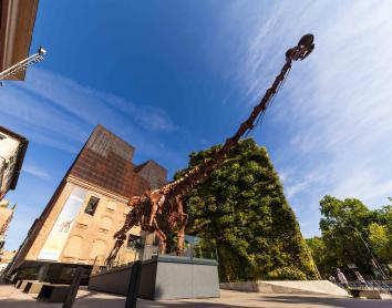 La estrella de la exposición es el Patagotitan mayorum. 