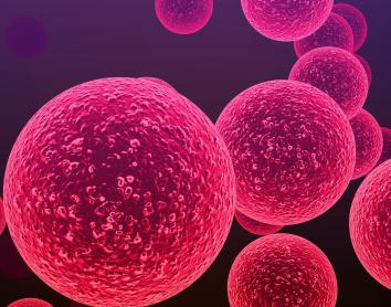 Una prueba no invasiva permite detectar la meningitis infantil