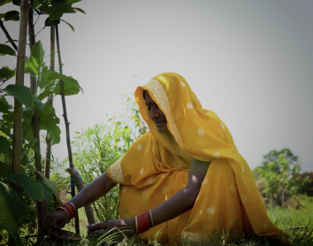 Cuando las mujeres rurales lideran el cambio en una región empobrecida de la India