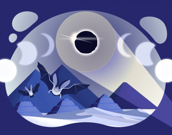 CosmoCaixa Activitats de divulgació científica