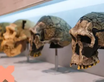 El Palau Macaya acull una conferència sobre els orígens històrics de la xenofòbia