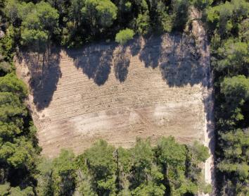 Requena y Utiel revitalizan su territorio para frenar los incendios y la despoblación