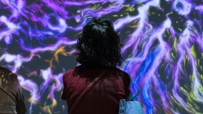 Una de las salas de Somos Naturaleza.