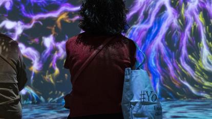 One of the rooms at "Root for Nature".