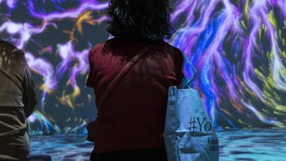 Una de les sales de «Som Natura».