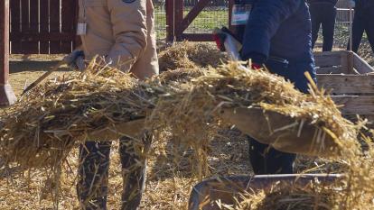 Dues nenes transportant palla en un graner.