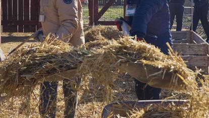 Dos niñas transportando paja en un granero. 