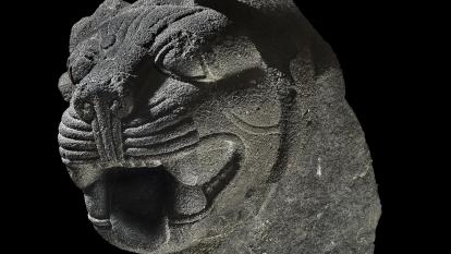 Cabeza de basalto gris de un león rugiente, siglo IX a. de C., Carcamís (frontera entre Siria y Turquía). 1927,1114.5.