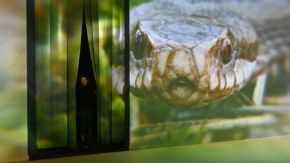 Una visitant accedeix a la primera sala de l'experiència immersiva Som Natura.