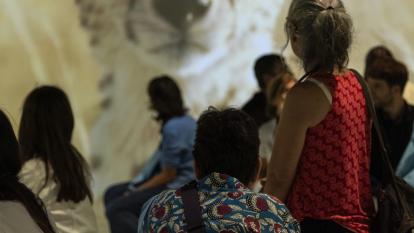 Un grup de persones gaudint de l'experiència immersiva.