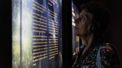 Rosa llegint els panells informatius de lexposició.