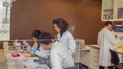 Patricia Pozo's team of researchers working in the laboratory.
