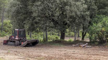 Tareas de limpieza en uno de los bancales agrícolas de Requena.