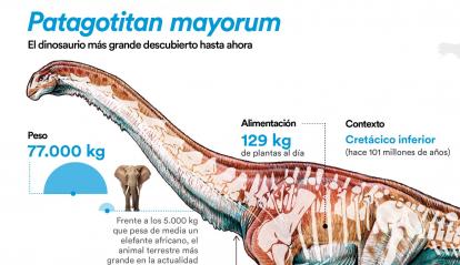 Infografía del Patagotitan mayorum.