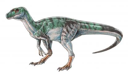 Herrerasaurus ischigualastensis.