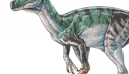 Herrerasaurus ischigualastensis