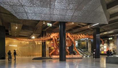 El esqueleto de Patagotitan mayorum está instalado en el hall de CaixaForum Sevilla.