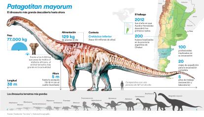 Infografía del Patagotitan mayorum.