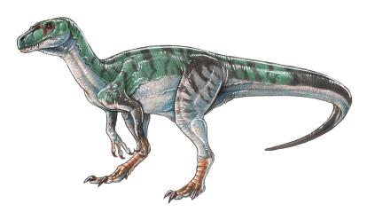 Herrerasaurus ischigualastensis