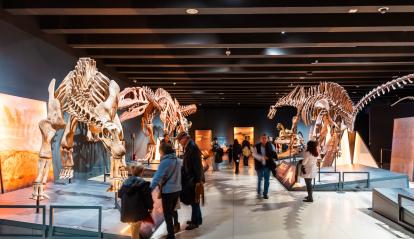 “Dinosaurs of Patagonia” exhibition at CaixaForum Madrid