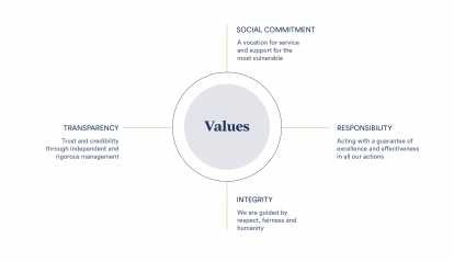 infographic: Values