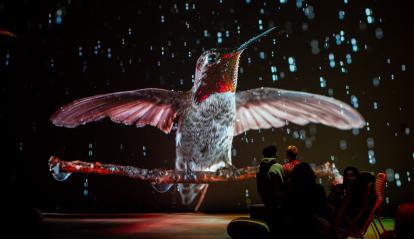 Visitantes en la experiencia inmersiva «Somos naturaleza».