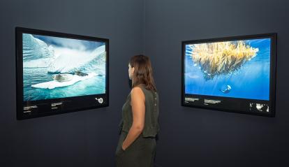 El místic blau ens envolta a la natura.