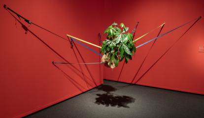 Una de les obres de l'exposició «Art i natura. Un segle de biomorfisme» exposada a CaixaForum Palma.