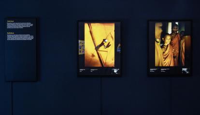 El color naranja se pueden encontrar en fotografías como estas de un insecto o del traje de un monje budista