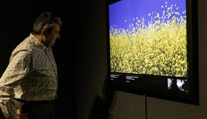 Un visitante observa una de las imágenes protagonizadas por el color amarillo.