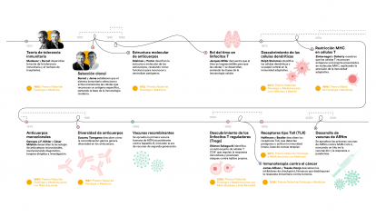 Infografía sobre la evolución de la inmunología (parte 2).