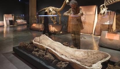 El coordinador de la exposición, Alejandro Pérez, con un holotipo de Patagotitan.